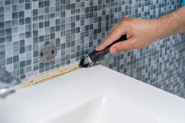 Best Mold Testing and Inspection Services in Agler Estates, FL